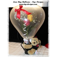 Love Bug (Aurora) Balloons